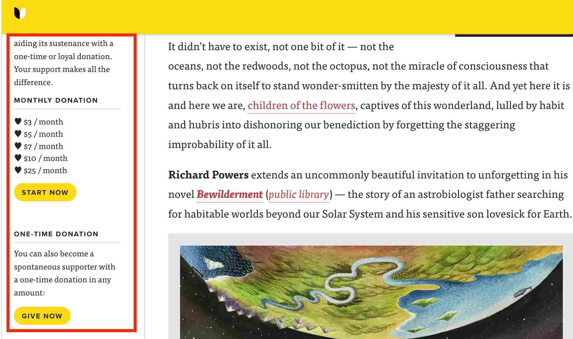 how-to-monetize-a-website-example-of-donation-based-monetization