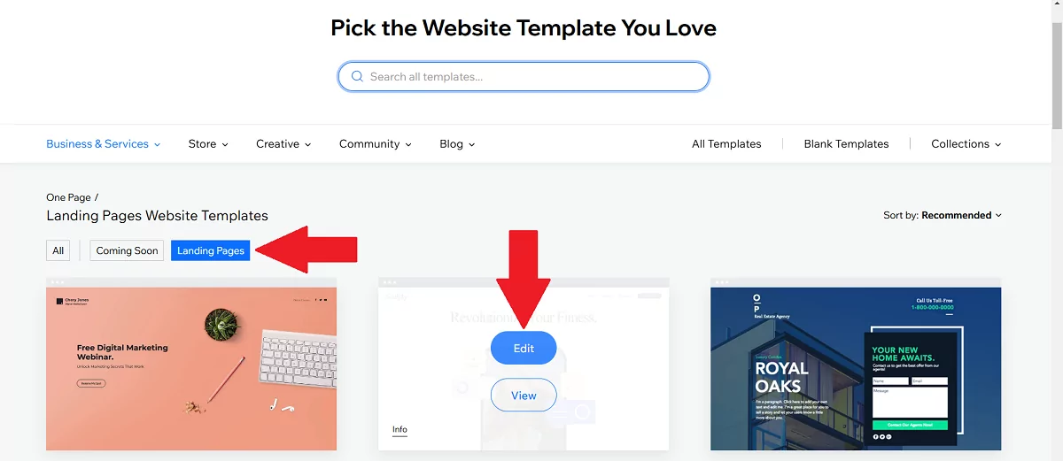 edit-template-landing-page-or-site-wix